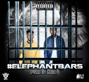 TLT - Elephant Bars